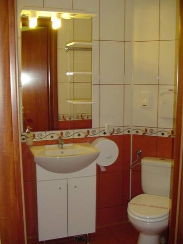 Фото номера Люкс с 1 спальней Отель Hotel Europa г. Плоешти 15