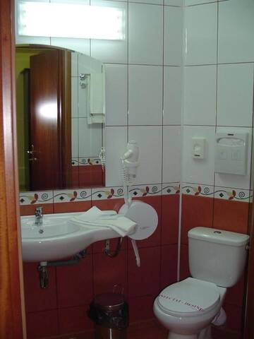 Фото номера Двухместный номер с 1 кроватью Отель Hotel Europa г. Плоешти 21