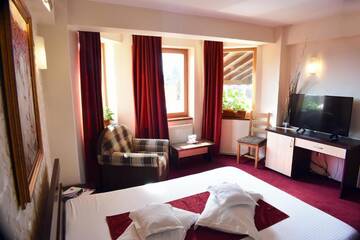 Фото номера Двухместный номер с 1 кроватью Отель Hotel Tudor г. Плоешти 35