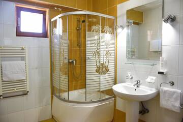 Фото номера Двухместный номер с 1 кроватью Отель Hotel Tudor г. Плоешти 10